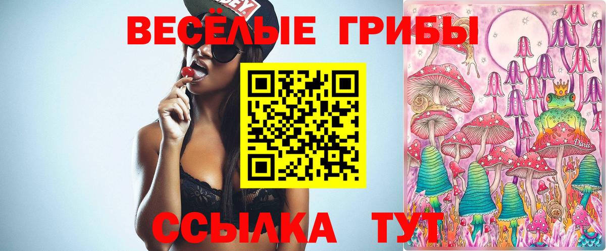 Псилоцибиновые грибы Cubensis Заводоуковск