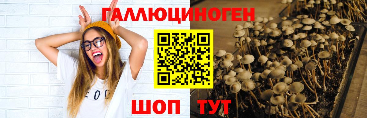 Галлюциногенные грибы мухоморы  Вход с VPN  Галлюциногенные грибы прущие грибы  Заводоуковск 
